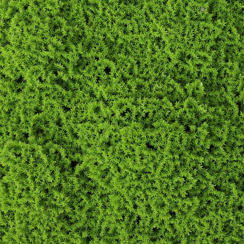 Designer Plants USA Faux Evergreen Moss Mat 40" x 20" 5.5 SQFT UV Resistant Commercial Grade UV Resistant