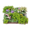 Designer Plants USA Artificial Moss and Succulent Hanging Wall Art 20" Square UV Resistant