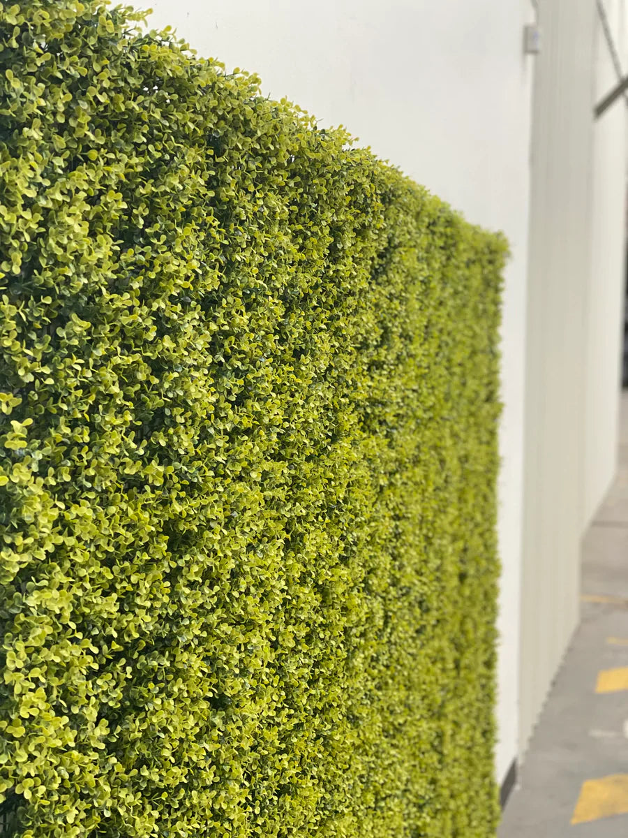 Designer Plants USA Yellow English Artificial Boxwood Wall 40" x 40" Commercial Grade