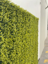Designer Plants USA Yellow English Artificial Boxwood Wall 40" x 40" Commercial Grade