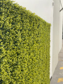 Designer Plants USA Yellow English Artificial Boxwood Wall 40" x 40" Commercial Grade