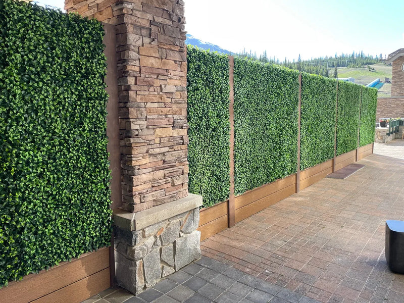 Designer Plants USA Jasmine Artificial Green Wall 40" x 40" Commercial Grade UV Resistant