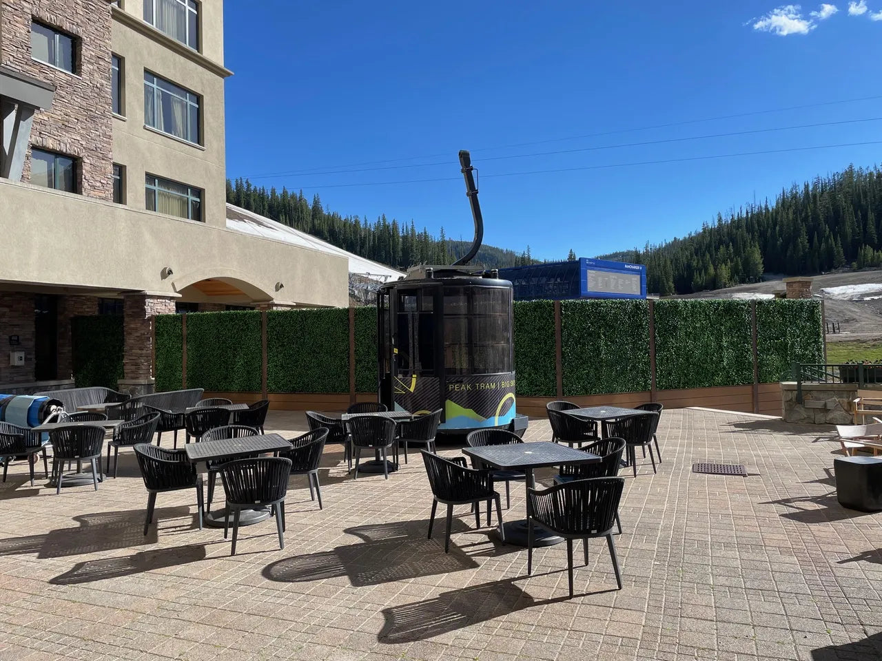 Designer Plants USA Jasmine Artificial Green Wall 40" x 40" Commercial Grade UV Resistant