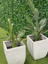 Designer Plants USA White Flowering Artificial Boxwood Wall 40" x 40" Commercial Grade
