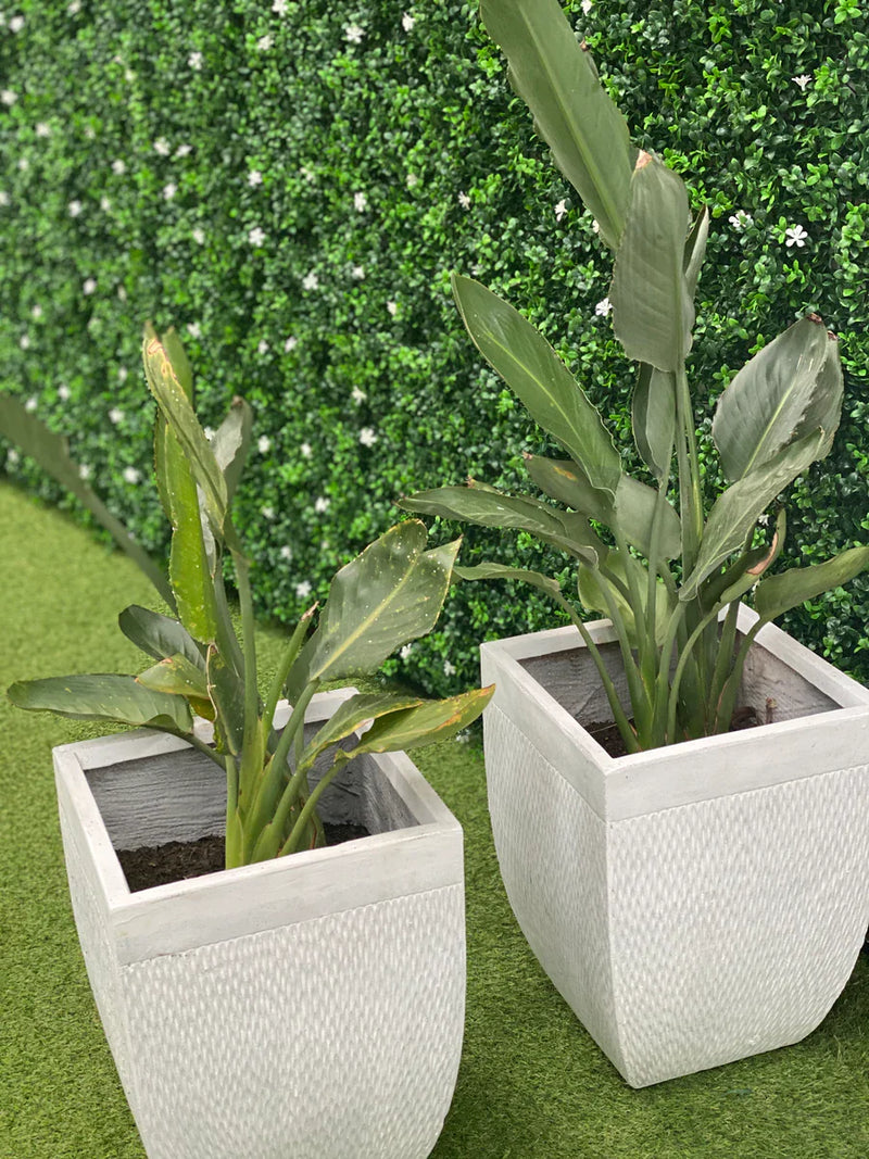 Designer Plants USA White Flowering Artificial Boxwood Wall 40" x 40" Commercial Grade