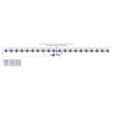 Alien Hydroponics V-SYSTEM 20 Pot 1 Row Kit