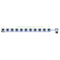 Alien Hydroponics RDWC 11 Pot 1 Row Kit