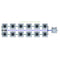 Alien Hydroponics RDWC 12 Pot 2 Row Kit