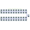 Alien Hydroponics RDWC 44 Pot 4 Row Kit