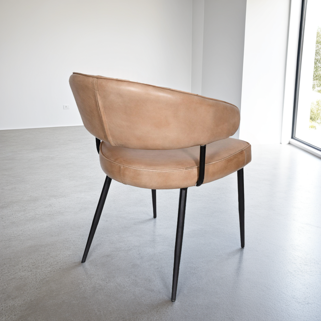 Carbon Designs Evelyn Dining Chair