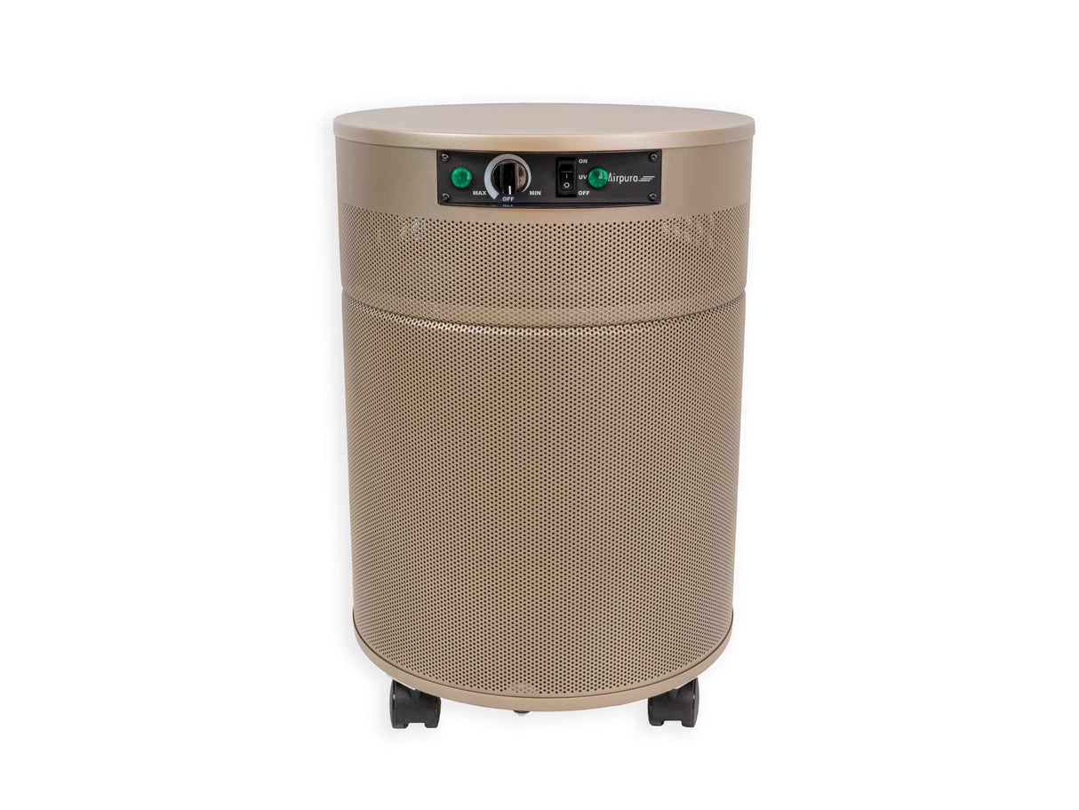 Airpura P600 Germs, Mold and Chemicals Air Purifier