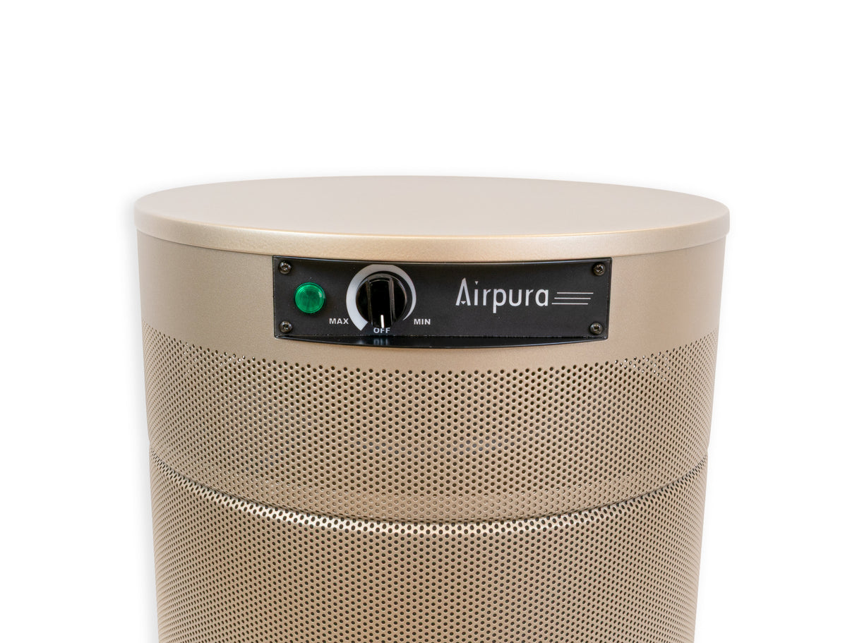 Airpura G614 MCS Odor-Free Carbon Air Purifier