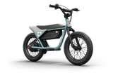 Himiway C1 Kids Electric Bike 350W 36V 10Ah 16x3 Fat Tire Balance Electric Bike