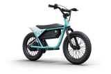 Himiway C1 Kids Electric Bike 350W 36V 10Ah 16x3 Fat Tire Balance Electric Bike