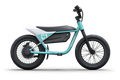Electric Bikes