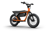 Himiway C1 Kids Electric Bike 350W 36V 10Ah 16x3 Fat Tire Balance Electric Bike