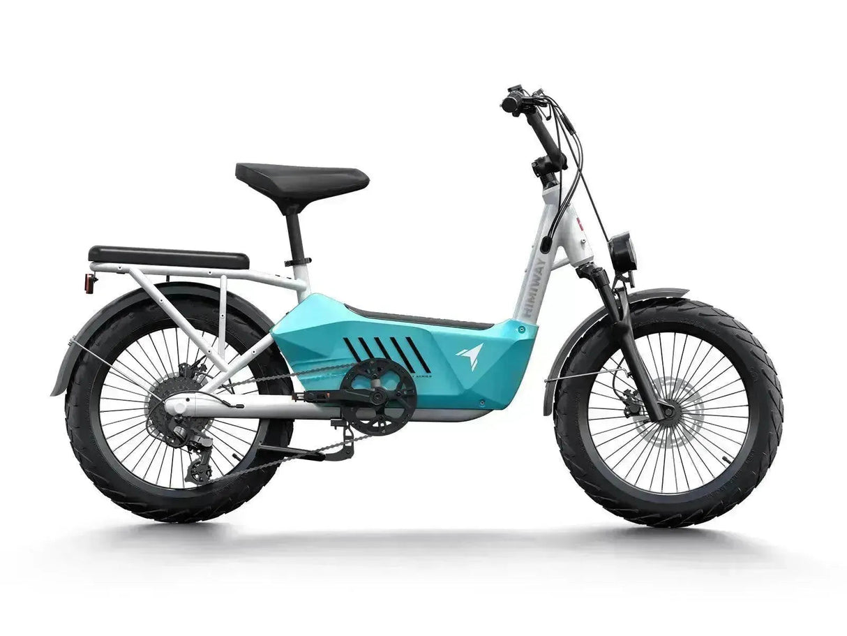 Himiway C3 750W Step-Thru Cargo Electric Bike