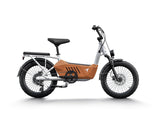 Himiway C3 750W Step-Thru Cargo Electric Bike