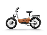 Himiway C3 750W Step-Thru Cargo Electric Bike