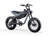 Himiway C5 750W 48V 20Ah Electric Bike