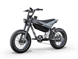 Himiway C5 750W 48V 20Ah Electric Bike