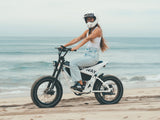 Himiway C5 750W 48V 20Ah Electric Bike