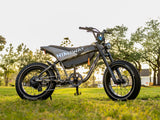 Himiway C5 750W 48V 20Ah Electric Bike