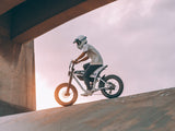 Himiway C5 750W 48V 20Ah Electric Bike