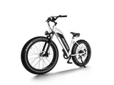 Himiway D3 ST (Cruiser ST) 750W All-Terrain Step-Thru Fat Tire Electric Bike