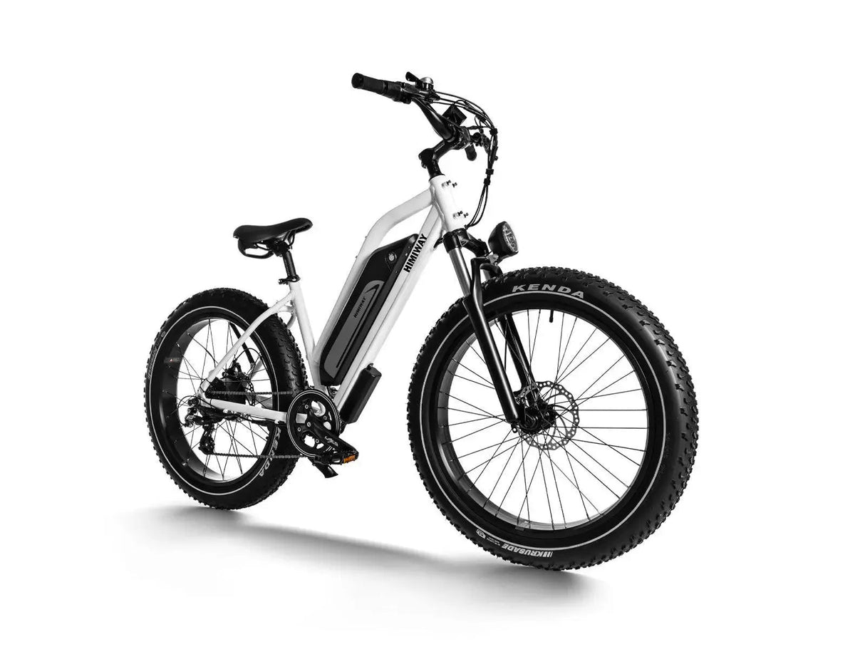 Himiway D3 ST (Cruiser ST) 750W All-Terrain Step-Thru Fat Tire Electric Bike