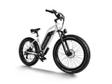Himiway D3 ST (Cruiser ST) 750W All-Terrain Step-Thru Fat Tire Electric Bike