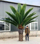 Designer Plants USA Tall Artificial Florida Palm Tree (13ft To 23ft) UV Resistant