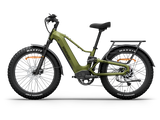Himiway D5 2.0 Full Suspension Fat Tire Electric Bike 750W 48V 15Ah 26x4.0 Electric Mountain Bike