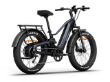 Himiway D5 2.0 Full Suspension Fat Tire Electric Bike 750W 48V 15Ah 26x4.0 Electric Mountain Bike