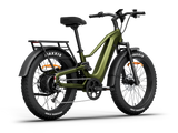 Himiway D5 2.0 Full Suspension Fat Tire Electric Bike 750W 48V 15Ah 26x4.0 Electric Mountain Bike