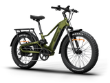 Himiway D5 2.0 Full Suspension Fat Tire Electric Bike 750W 48V 15Ah 26x4.0 Electric Mountain Bike