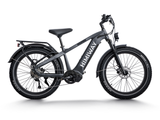 Himiway D5 Pro 500W Mid-Drive All-Terrain Fat Tire Electric Bike