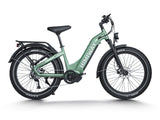Himiway D5 Pro ST 500W Mid-Drive All-Terrain Fat Tire Electric Bike
