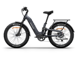 Himiway D5 ST 2.0 Step-Thru Electric Bike