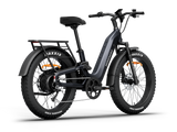 Himiway D5 ST 2.0 Step-Thru Electric Bike