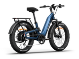 Himiway D5 ST 2.0 Step-Thru Electric Bike