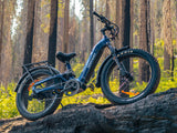 Himiway D5 ST 2.0 Step-Thru Electric Bike