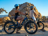 Himiway D5 ST 2.0 Step-Thru Electric Bike