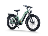 Himiway D5 Pro ST 500W Mid-Drive All-Terrain Fat Tire Electric Bike