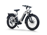 Himiway D5 Pro ST 500W Mid-Drive All-Terrain Fat Tire Electric Bike