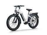 Himiway D5 Pro ST 500W Mid-Drive All-Terrain Fat Tire Electric Bike