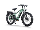 Himiway D5 Pro 500W Mid-Drive All-Terrain Fat Tire Electric Bike