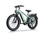 Himiway D5 Pro 500W Mid-Drive All-Terrain Fat Tire Electric Bike