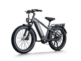 Himiway D5 Pro 500W Mid-Drive All-Terrain Fat Tire Electric Bike