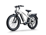 Himiway D5 Pro 500W Mid-Drive All-Terrain Fat Tire Electric Bike